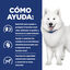 12 kg Hill's Prescription Diet kidney + Mobility pienso para perros, , large indicador imagen numero 4